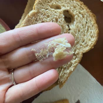 Harras Tam Buğday Unlu Ekmekten Bant Çıkması Nedeniyle Sağlık Riski Ve Mağduriyet