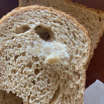 Harras Tam Buğday Unlu Ekmekten Bant Çıkması Nedeniyle Sağlık Riski Ve Mağduriyet