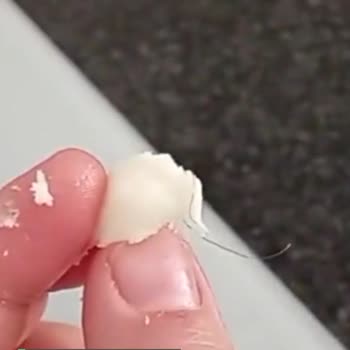 Cebel Kaşar Peyniri Paket İçinden Kıl Çıktı
