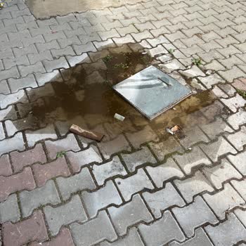 Yan Apartmandan Kaynaklanan Lağım Suyu Nedeniyle Bahçemizi Kullanamıyoruz