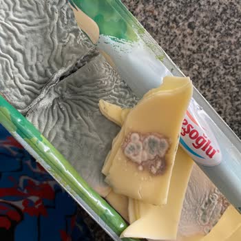 Son Kullanma Tarihi Geçmemiş Sütün Küflü Çıkması Hayal Kırıklığı Yarattı