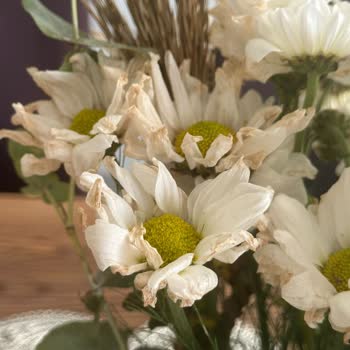 Solmuş Çiçek Teslimatı Sonrası İlgisiz Müşteri Hizmetleriyle Mağduriyet Yaşadım