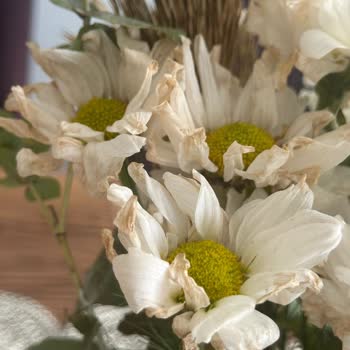 Solmuş Çiçek Teslimatı Sonrası İlgisiz Müşteri Hizmetleriyle Mağduriyet Yaşadım