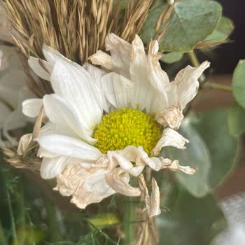 Solmuş Çiçek Teslimatı Sonrası İlgisiz Müşteri Hizmetleriyle Mağduriyet Yaşadım