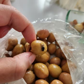 Aldığım Zeytinden Ölü Sinek Çıktı, Hijyen Konusunda Endişeliyim