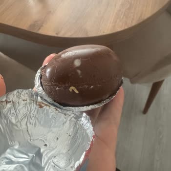 Ozmo Sürpriz Yumurta İçinden Kurt Çıkması Nedeniyle Güven Kaybı Ve Sağlık Endişesi!