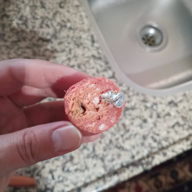 Dana Sucukta Yabancı Madde ve Küflenme Şikayeti