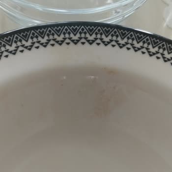 Electrolux Bulaşık Makinesi Temizlik Ve Program Sorunları Çözülmüyor