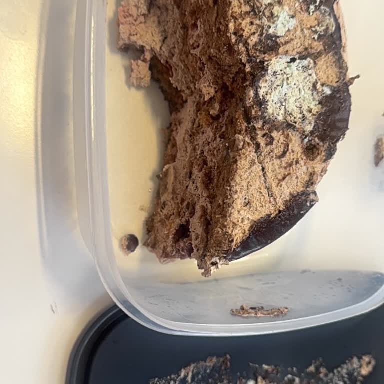 Doğum Günü Pastası Bozuk Çıktı Hijyen Ve Müşteri Hizmeti Yok Sayıldı