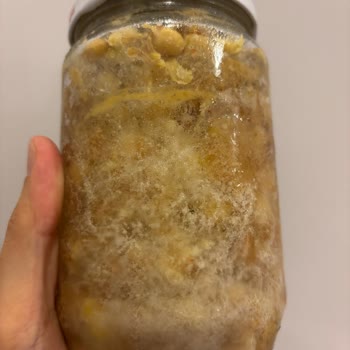 Siemens Buzdolabında Tekrarlayan Donma Sorunu Ve Çözüm Eksikliği