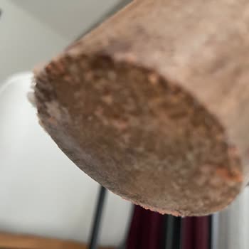 Küflü Koltuk Teslimatı Ve Mağazanın İlgisizliği Sağlığımızı Tehdit Etti