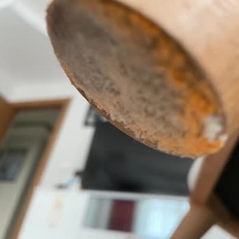 Küflü Koltuk Teslimatı Ve Mağazanın İlgisizliği Sağlığımızı Tehdit Etti