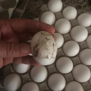 Sanal Marketten Alınan Yumurtalar Kırık Ve Lekeli Çıktı