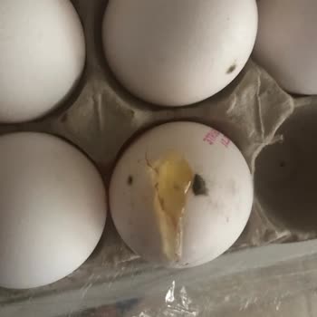 Sanal Marketten Alınan Yumurtalar Kırık Ve Lekeli Çıktı