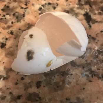 Sanal Marketten Alınan Yumurtalar Kırık Ve Lekeli Çıktı