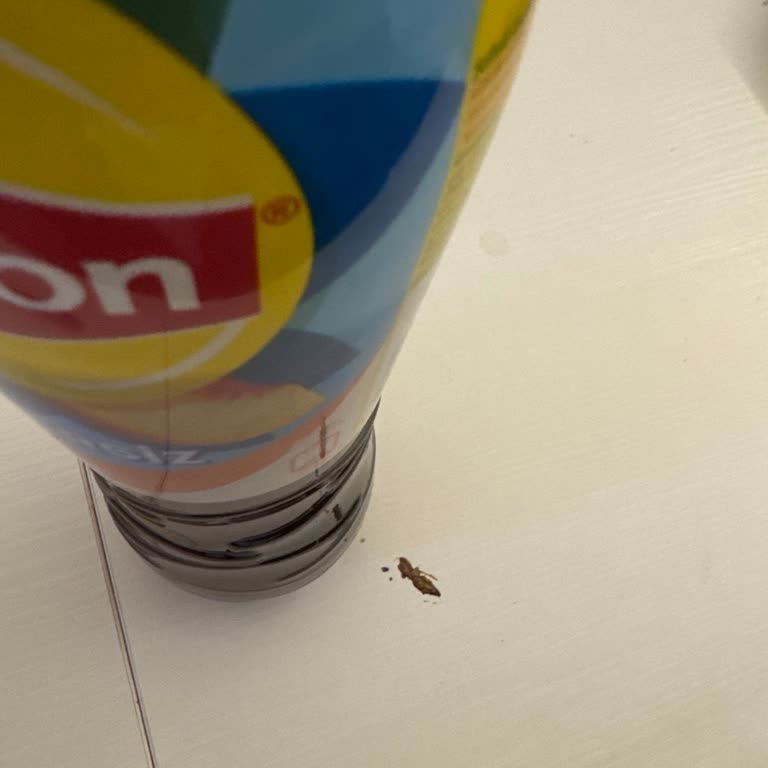 Lipton Ice Tea Şekersiz Üründe Yosun Benzeri Maddeyle Karşılaştım