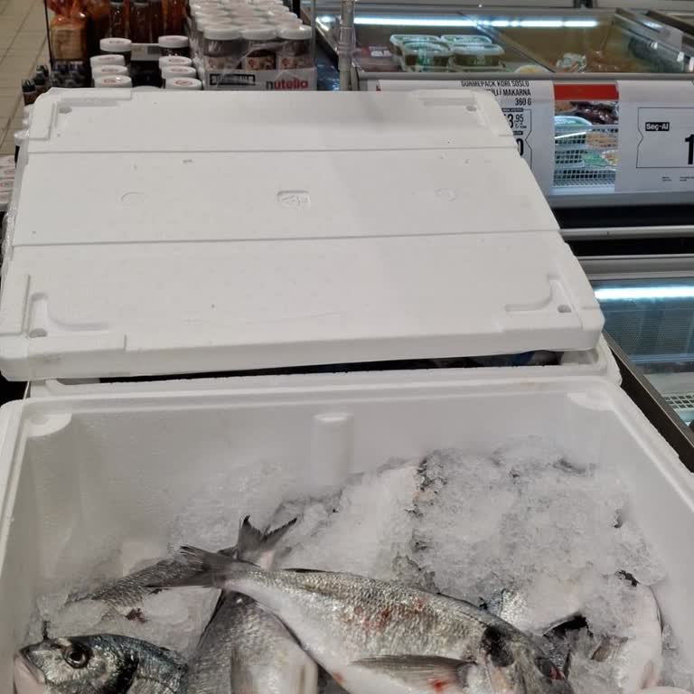 Migros Şubeleri Arasında Çipura Balıkta Yüksek Fiyat Farkı Ve İlgisiz Yaklaşım!