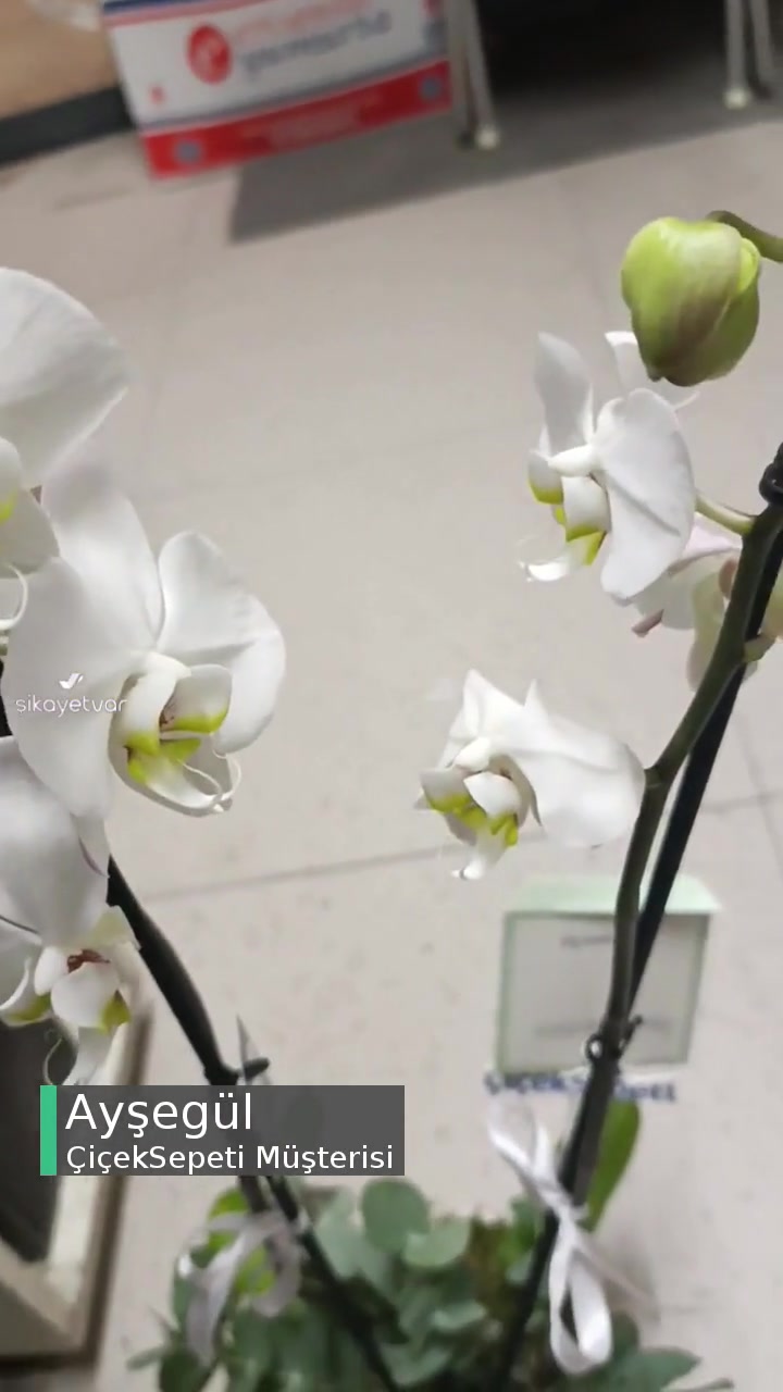 ÇiçekSepeti Çiçek İade Değişimi videonun kapak resmi