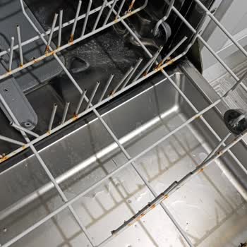 Bulaşık Makinesi Sepetlerinde Küf Ve Kırıklar Nedeniyle Sağlık Endişesi