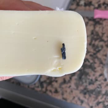 Sütaş Kaşar Peynirinde Yabancı Cisim Ve İletişim Sorunu