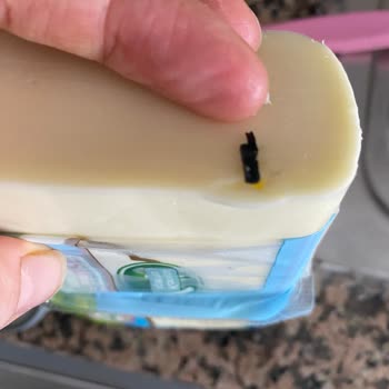 Sütaş Kaşar Peynirinde Yabancı Cisim Ve İletişim Sorunu