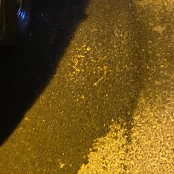 Çöp Toplama Aracı Nedeniyle Araçlarım Sürekli Kirleniyor Ve Mağdur Oluyorum