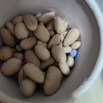 Saido Kuruyemiş Ve Kahve Tattırdığı Ürünle Sattığı Ürün Farklı!