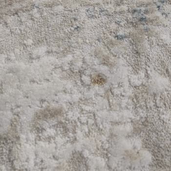 Merve Halı Yıkama Fabrikası | Gaziantep Halı Yıkamada Sınıfta Kaldı