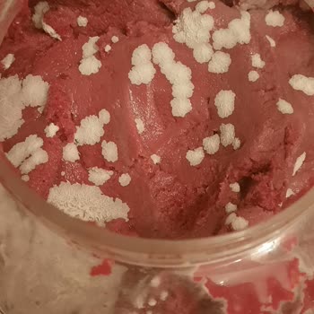 Aldığım Salça İki Haftada Bozuldu Mağduriyetim Giderilmiyor