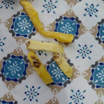 BİM’den Aldığım Hazır Patates Filizlenmiş Çıktı, Güvenim Sarsıldı