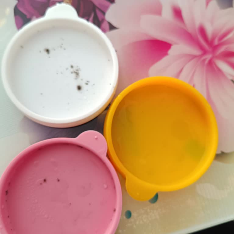 Silikon Kapaklarda Küf Ve Kötü Koku Sorunu Sağlığımı Tehdit Ediyor