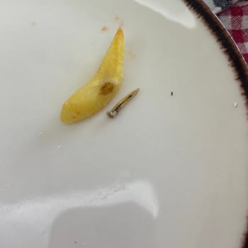 Dondurulmuş Patates İçinden Yabancı Madde Çıkması Ve Açıklama Talebi