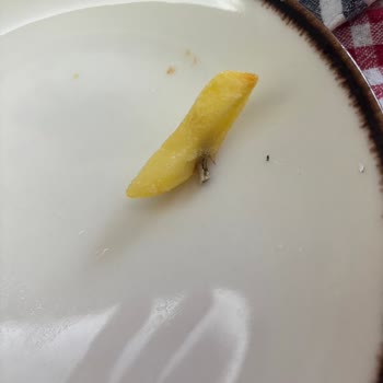 Dondurulmuş Patates İçinden Yabancı Madde Çıkması Ve Açıklama Talebi