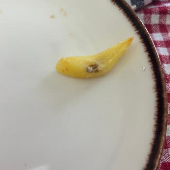 Dondurulmuş Patates İçinden Yabancı Madde Çıkması Ve Açıklama Talebi