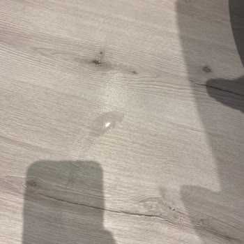 Roborock Q8 Max Pro Plus Süpürgede Su Sızdırma Ve Gürültü Sorunu