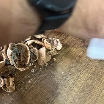 Aldığım Ürünlerde Böcek Ve Eksik İçerik Sorunu, Müşteri Hizmetleri Dönüş Yapmıyor