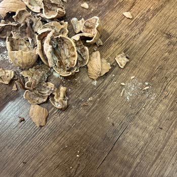 Aldığım Ürünlerde Böcek Ve Eksik İçerik Sorunu, Müşteri Hizmetleri Dönüş Yapmıyor