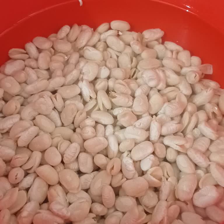 Duru Dermason Fasulye İlk Kullanımda Dağıldı, Ürün Değişimi Talep Ediyorum