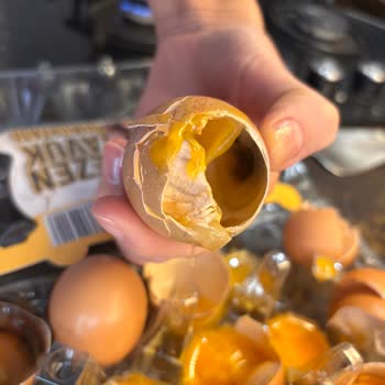 Son Kullanma Tarihi Geçmemiş Yumurtalarda Bozulma Sorunu