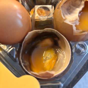 Son Kullanma Tarihi Geçmemiş Yumurtalarda Bozulma Sorunu