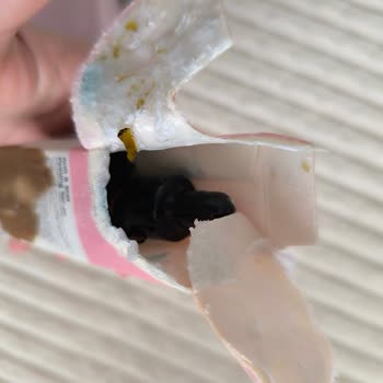 Kırık Gelen Serum İçin Değişim Talebime Henüz Dönüş Yapılmadı