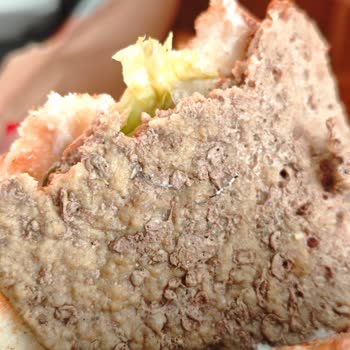 Burger King Siparişimde Bulaşık Teli Çıktı Eksik Ürün Sorunu Tekrar Ediyor