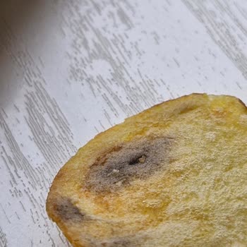 Aldığım Lays Cipsin İçinden Küflü Ürün Çıkması Hayal Kırıklığı Yaşattı