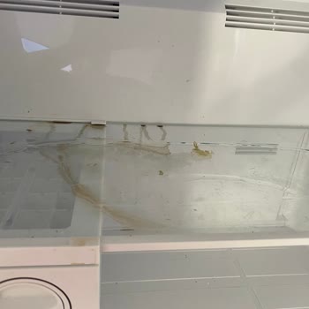 Servis Sonrası Buzdolabım Çizik Ve Kokulu Teslim Edildi, Sorun Hâlâ Devam Ediyor