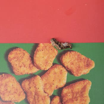 Burger King Vialand Şubesinde İlgisiz Hizmet Ve Hijyen Skandalı