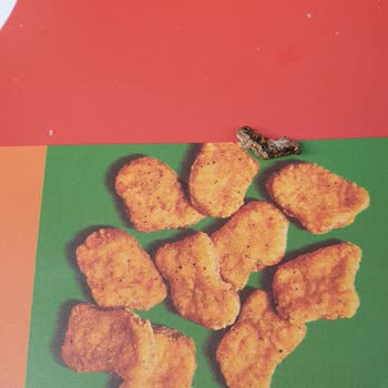 Burger King Vialand Şubesinde İlgisiz Hizmet Ve Hijyen Skandalı