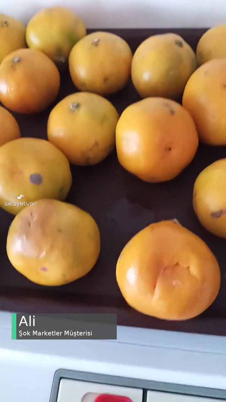 Şok Marketler Eksik, Çürük Ürün Teslim Ediliyor, Müşteri Hizmetleri Yardımcı Olmuyor videonun kapak resmi