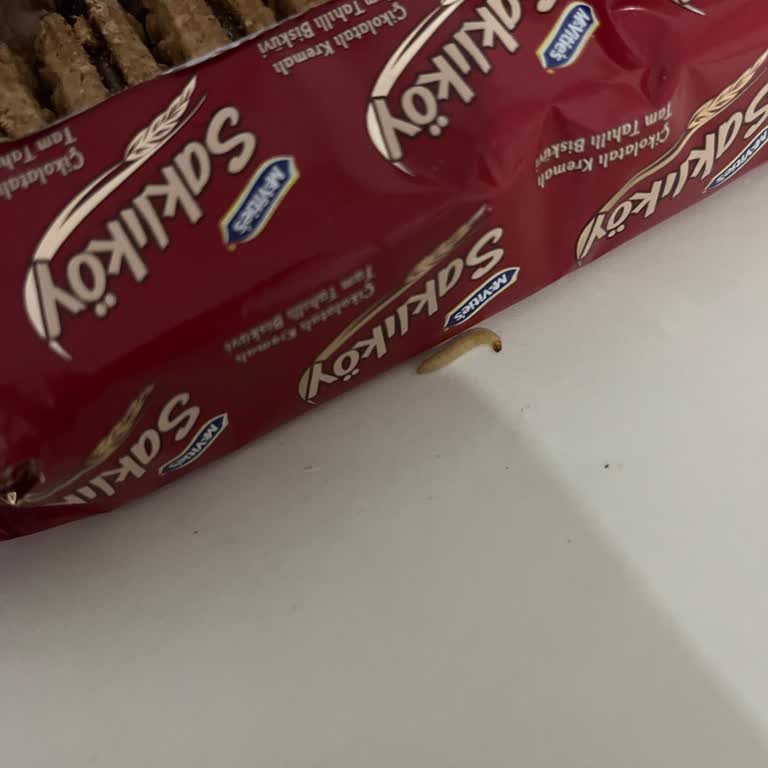 Aldığım Bisküvinin İçinden Kurt Çıktı, Açıklama Bekliyorum