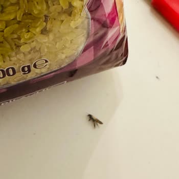Tarihi Geçmemiş Bulgur Bozuk Çıktı, İade Talebim Var
