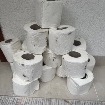 Küflü Tuvalet Kağıdı Sağlığımızı Tehdit Etti!